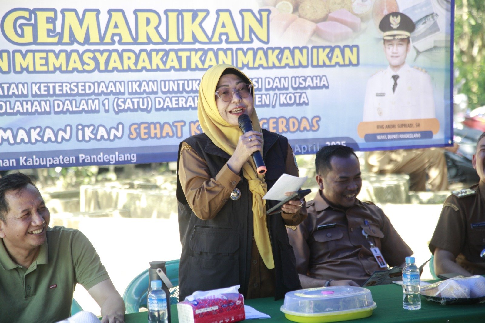 Bupati Pandeglang, Dewi Setiani
